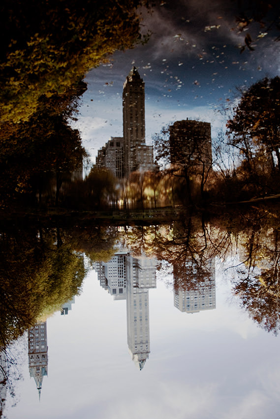 Buildings reflect in Central Park Lake.