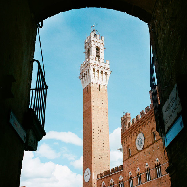 The Siena's Torre del Mangia